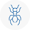Ant Removals In Poplar