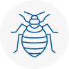 Bed Bug Extermination In Poplar