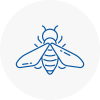 Bee Nest Removal Poplar