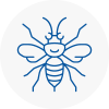Poplar Hornet Nest Removals