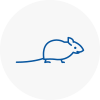 Mice Exterminators In Poplar