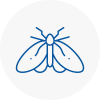 Moth Control Specialists In Poplar
