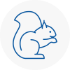 Poplar Rodent Removals